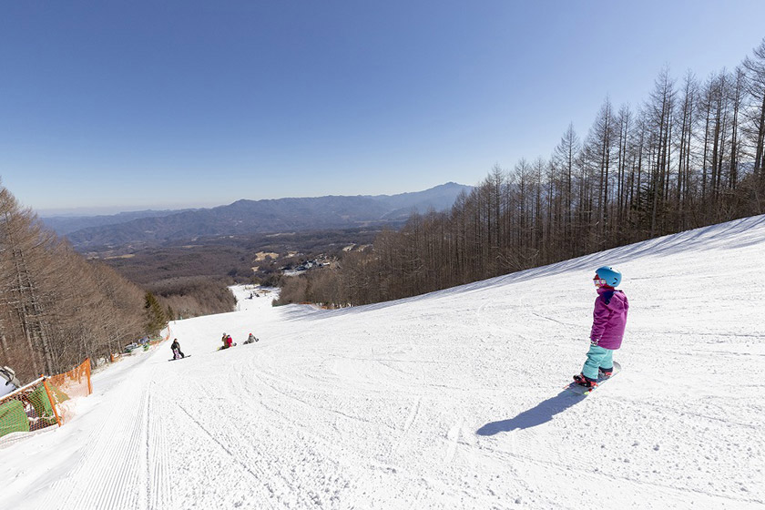 長野県 シャトレーゼスキーバレー小海 リフト1日券 ペア5組10名様
