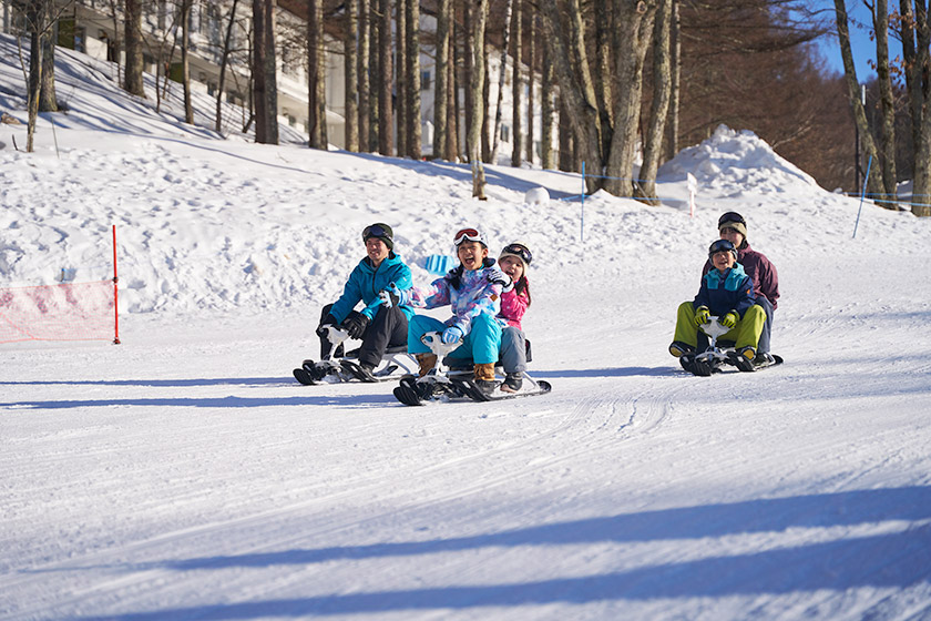 長野県 白樺リゾート 池の平スノーパーク ポタスノーランド入場券 ペア10組20名様