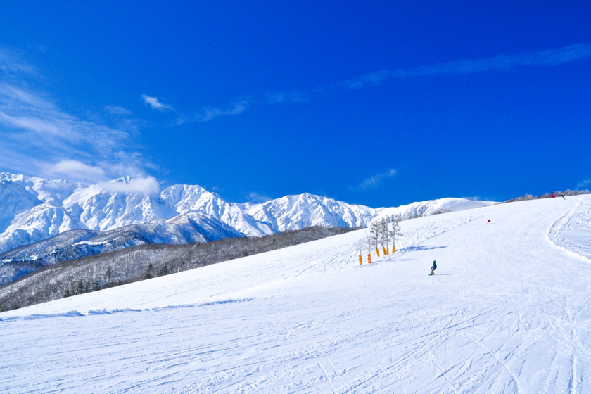 白馬岩岳スノーフィールド