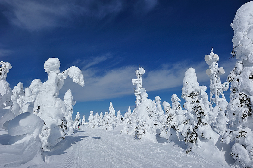 標高が高く豊富な積雪の ロングシーズンエリア！ 春スキーでも上質な雪に 包まれています。