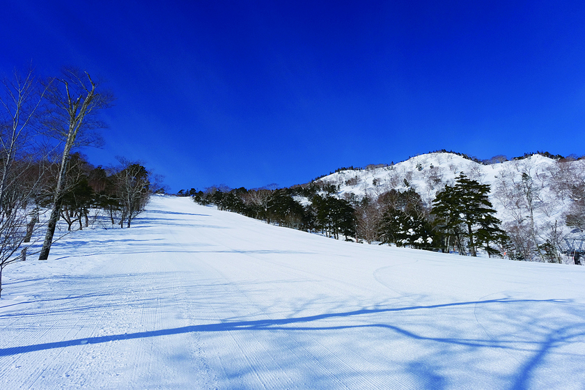 群馬県 かたしなオグナほたかスキー場 リフト1日券 ペア5組10名様