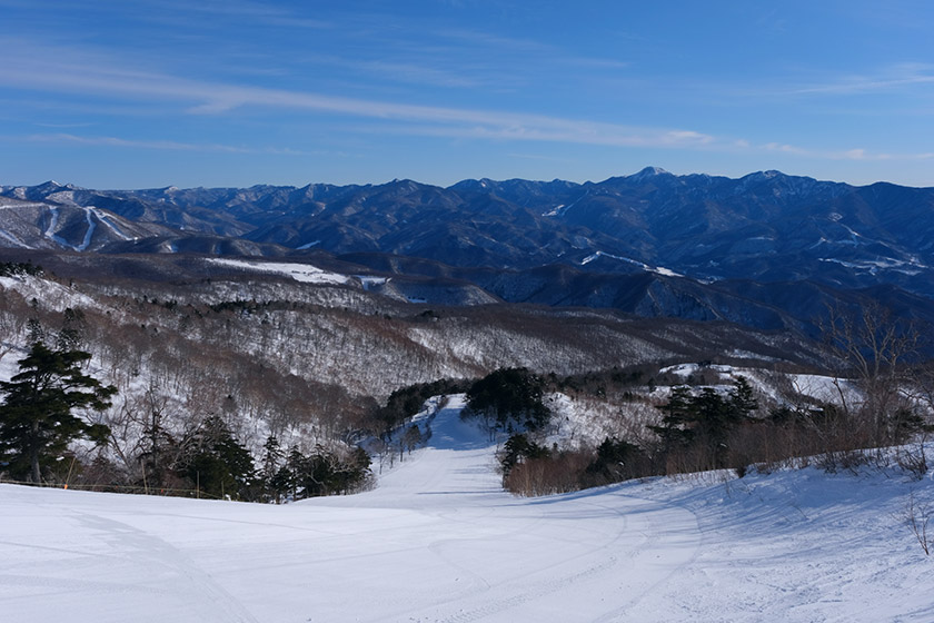 お得なキッズデイ