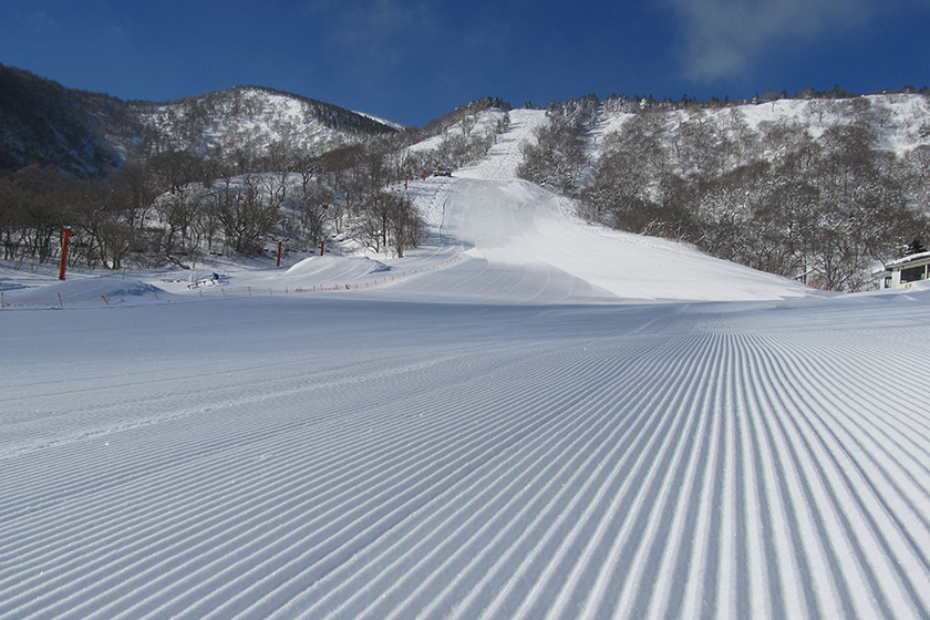ゴンドラで楽ちん！広く長いコースを楽しむ